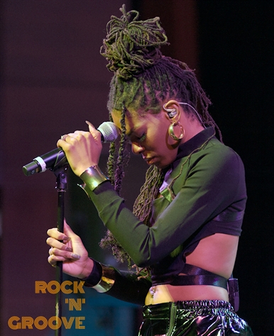 Flavours & Vibes  Rose Theater  Brampton  2024-02-22