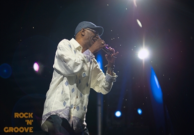 Reggae Festival  Toronto  Polson Pier Lot  2015-08-16