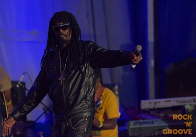 RastaFest 2014  Downsview Park  2014-08-23