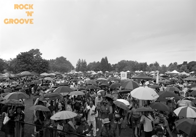 Jambana  Chinguacousy Prk  Brampton  2024-08-05