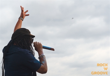 Toronto Reggae Fest  Polson Street  2014-08-16